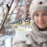 Arrêtez de jeter ce petit pot en plastique : il devient la mangeoire préférée des oiseaux cet hiver