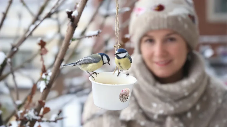 Arrêtez de jeter ce petit pot en plastique : il devient la mangeoire préférée des oiseaux cet hiver