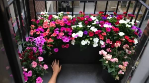 Balcons : oubliez les géraniums, cette fleur d’ombre chic et ultra-résistante change tout en 2025