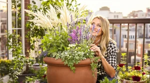 Ce gros pot sur votre balcon : 5 plantes à associer maintenant pour un jardin qui éveille les 5 sens