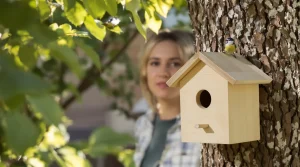 J’ai installé un nichoir au jardin, mais aucun oiseau ne s’y installe : voici pourquoi