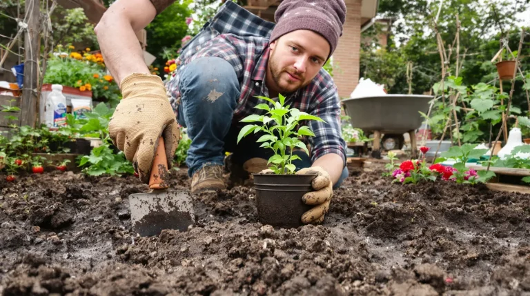 « La nature impose son rythme » : comment éviter les pièges du jardinage ce mois-ci, voici pourquoi