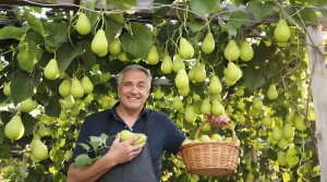 La nouvelle super-plante des jardins : ceux qui la cultivent déjà disent qu’elle vaut de l’or