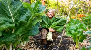 Les jardiniers amateurs oublient ce légume que les maraîchers gardent toujours, voici pourquoi